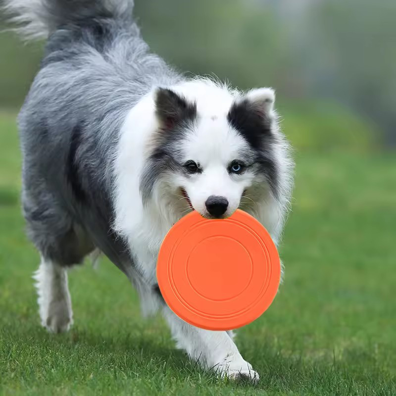 Durable Chewable Pet Training  – обзор и цена Frisbee Freestyle Disc