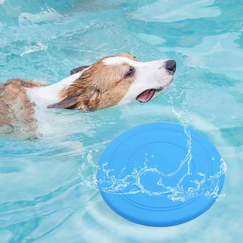 Durable Chewable Pet Training  – обзор и цена Frisbee Freestyle Disc