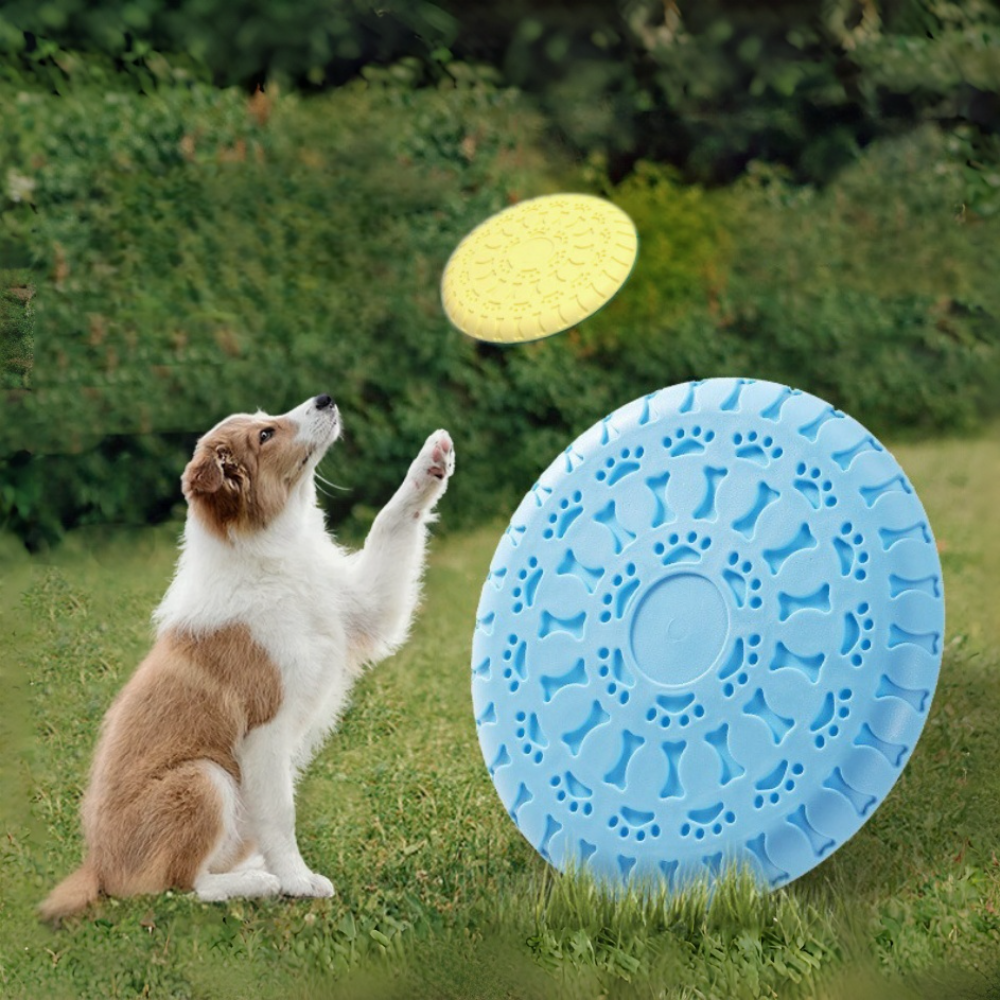 Durable Flying Disc for Medium – обзор и цена Frisbee Freestyle Disc