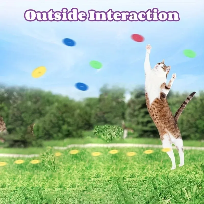 Funny Cat Toys Creative Turnip – обзор и цена Frisbee Freestyle Disc