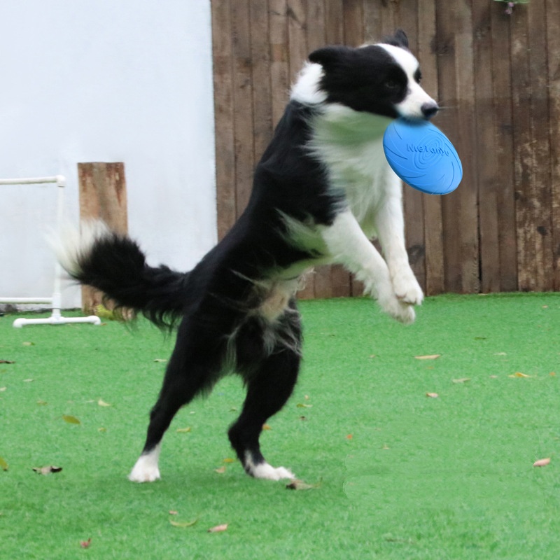 Multicolor Silicone Dog Frisbe – обзор и цена Frisbee Freestyle Disc