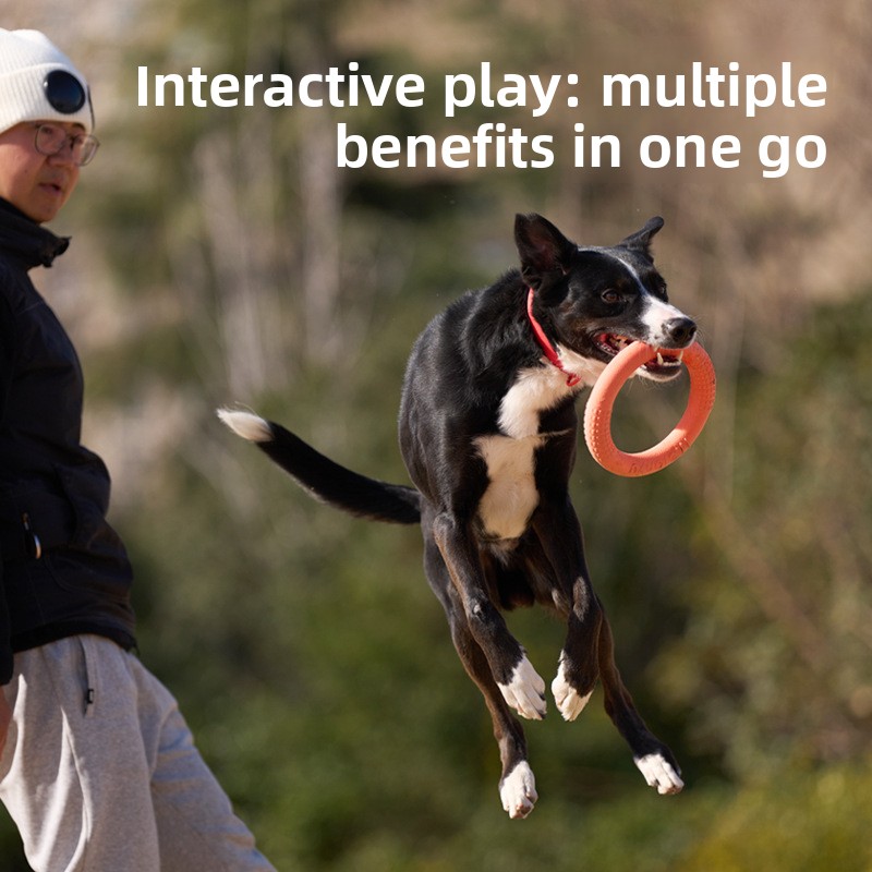 Bite-resistant soft pull-ring  – обзор и цена Frisbee Freestyle Disc
