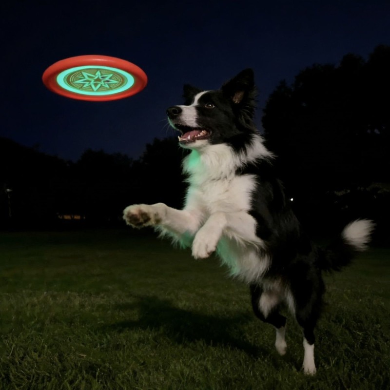 Glow in the Dark Dog Frisbee,  – обзор и цена Frisbee Freestyle Disc