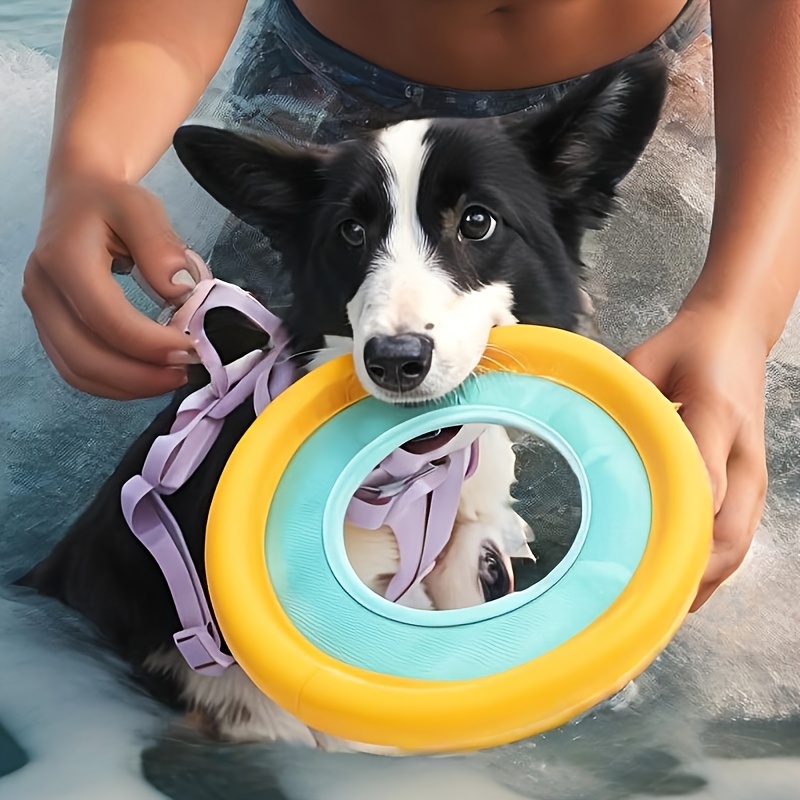 Floating Dog Frisbee, Outdoor  – обзор и цена Frisbee Freestyle Disc