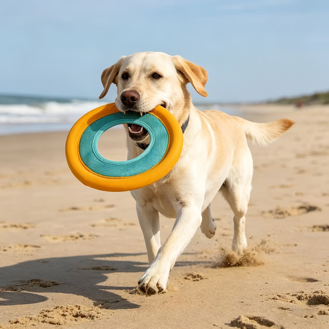 Floating Dog Frisbee, Outdoor  – обзор и цена Frisbee Freestyle Disc
