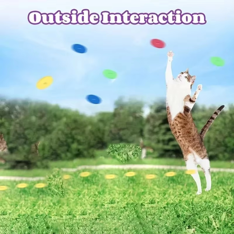 Funny Cat Toys Creative Turnip – обзор и цена Frisbee Freestyle Disc