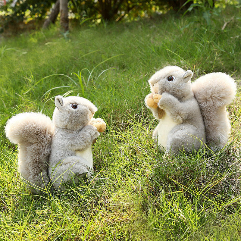 20cm Hazelnut Squirrel Plush T – обзор и цена Games Garden Party